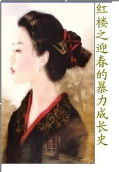 《(红楼同人/BG)红楼之迎春的暴力成长史》